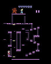 Donkey Kong Jr.